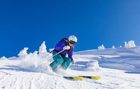 足球赔率-亚冠转会风云：本菲卡盯上锋线强援，陈梦或成交易筹码